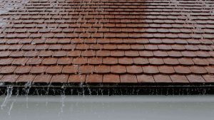 The Impact of Poor Gutter Maintenance on Home Value in Greenville SC The Impact of Poor Gutter Maintenance on Home Value in Greenville SC