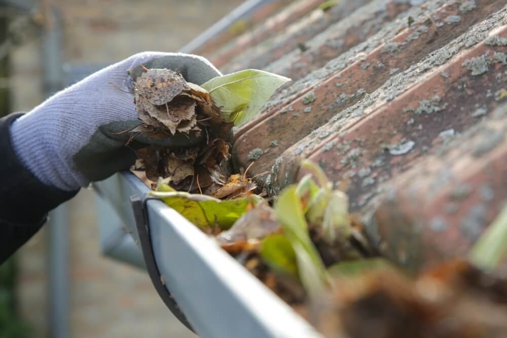 Who's the best gutter cleaning company in Greenville, SC? Contact the experts at SureFlow Gutters, LLC.