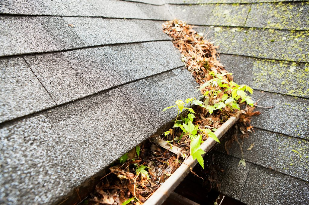 clogged gutters